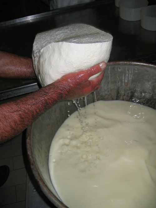 scuola di formaggio-33.JPG